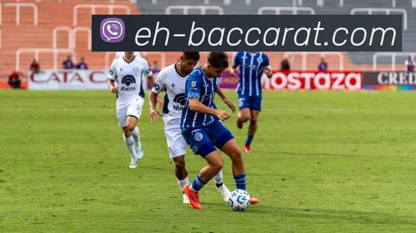 百家乐官网平台生态图