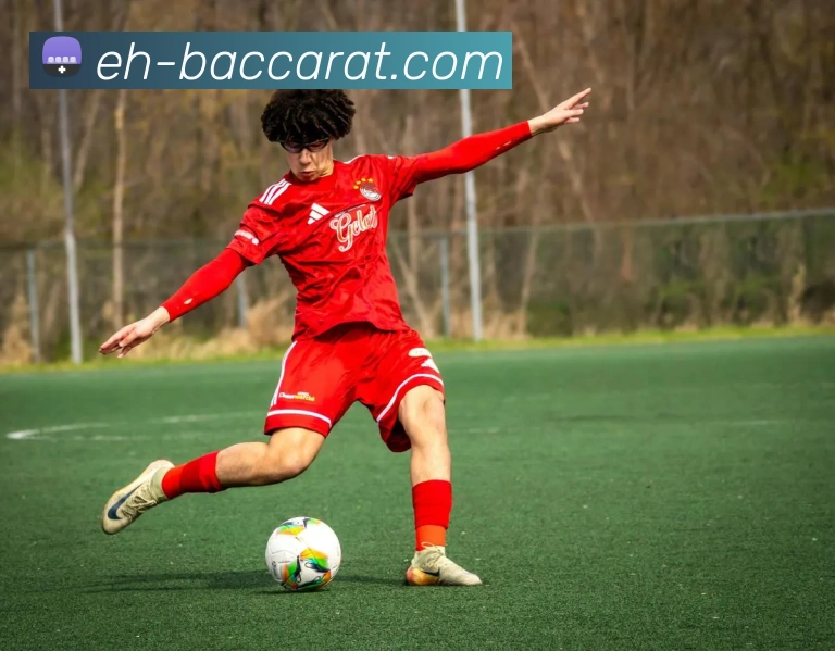 百家乐官网APP 封面图